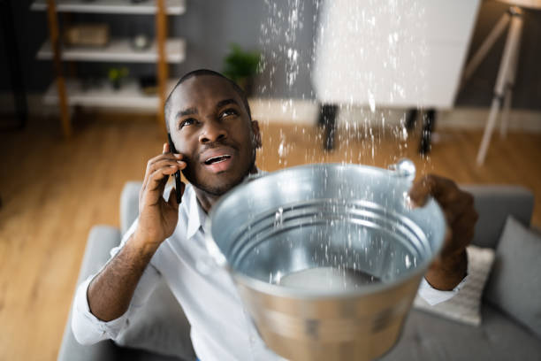 Best Water damage restoration near me  in Moreland, ID