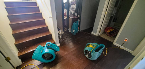 Best Water damage restoration near me  in Moreland, ID
