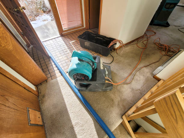 Best Basement water damage restoration  in Moreland, ID