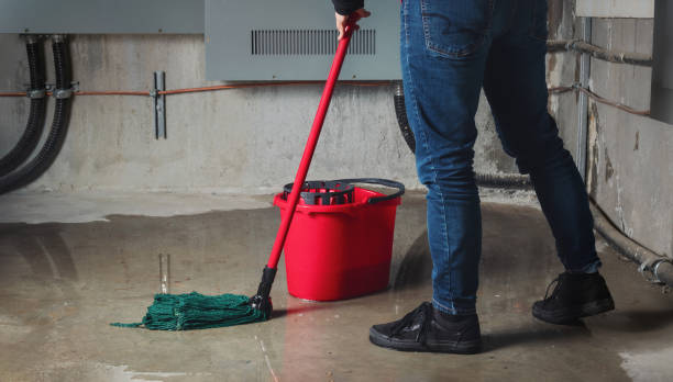 Best Carpet water damage restoration  in Moreland, ID