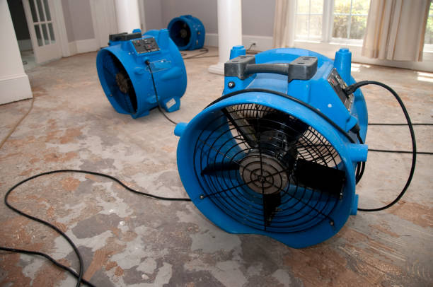 , ID Water damage restoration Company