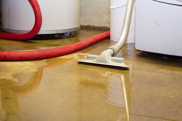 Best Water damage restoration process  in Moreland, ID