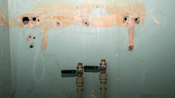 Best Commercial water damage restoration  in Moreland, ID