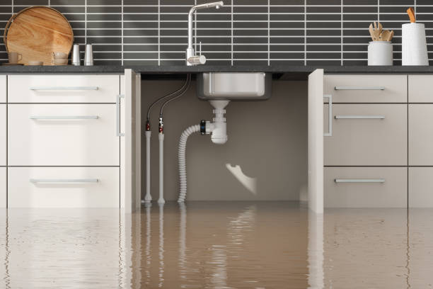 Best Flooded house restoration  in Moreland, ID