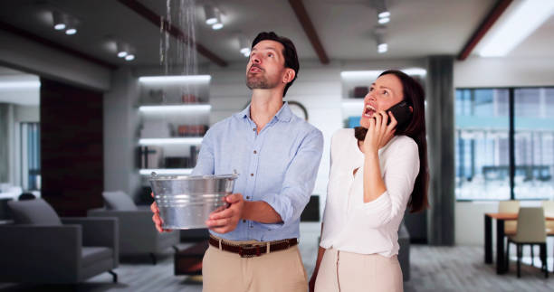 Best Emergency water extraction  in Moreland, ID