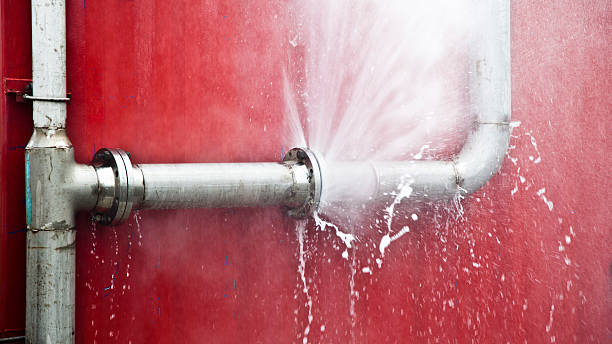 Best Water damage restoration near me  in Moreland, ID