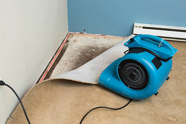 Best Sewage cleanup and water damage restoration  in Moreland, ID